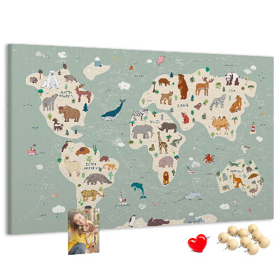 Cork board Animal world map