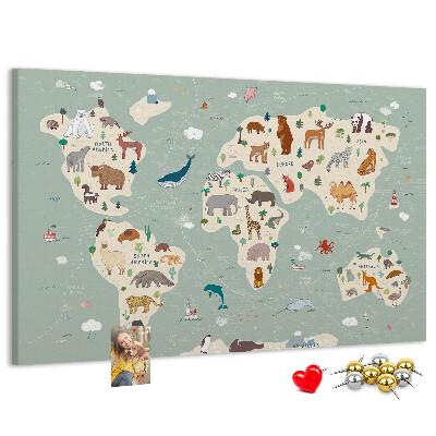 Cork board Animal world map