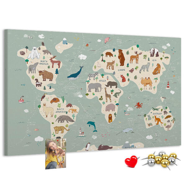 Cork board Animal world map