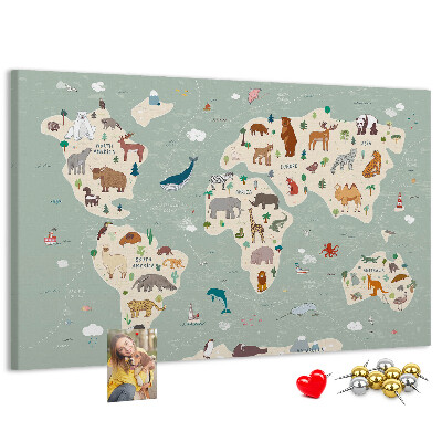 Cork board Animal world map
