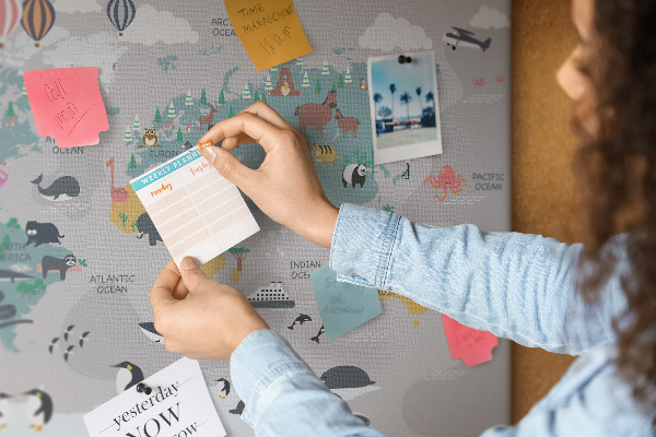 Cork memo board Cartoon map