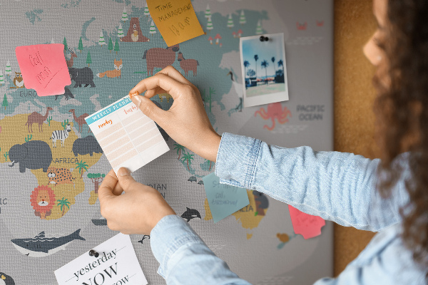Cork memo board Cartoon map