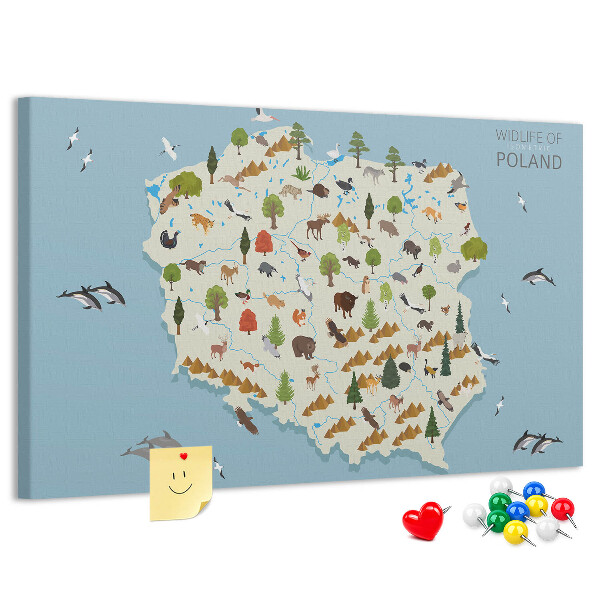 Cork display board Poland Animal Map