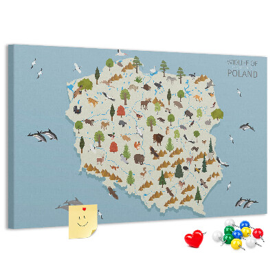 Cork display board Poland Animal Map