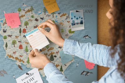 Cork display board Poland Animal Map