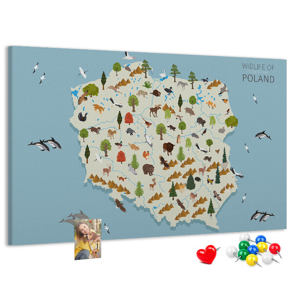 Cork display board Poland Animal Map