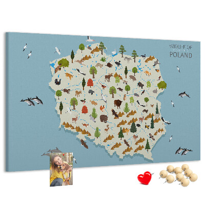 Cork display board Poland Animal Map