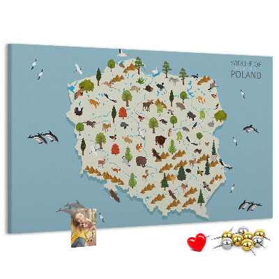 Cork display board Poland Animal Map