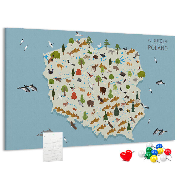 Cork display board Poland Animal Map