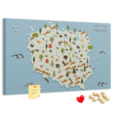 Cork display board Poland Animal Map
