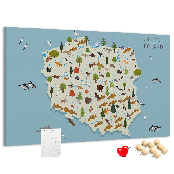 Cork display board Poland Animal Map