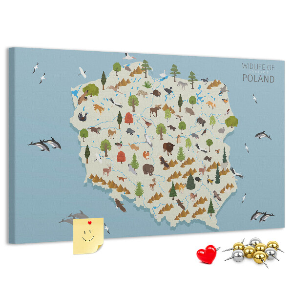 Cork display board Poland Animal Map