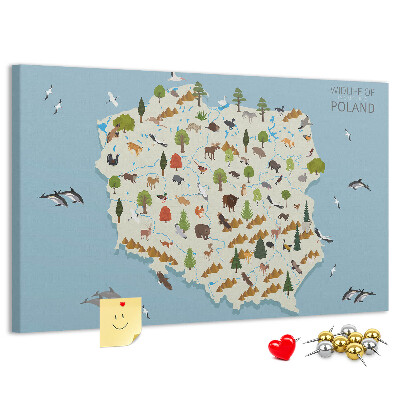 Cork display board Poland Animal Map