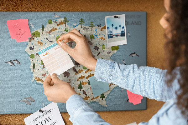 Cork display board Poland Animal Map