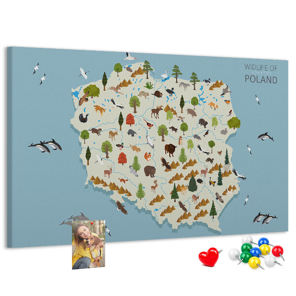 Cork display board Poland Animal Map