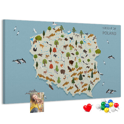 Cork display board Poland Animal Map