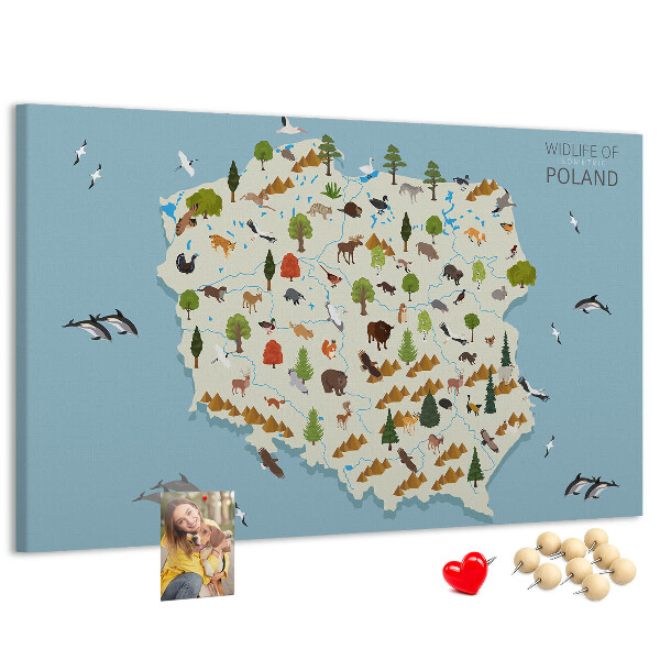 Cork display board Poland Animal Map