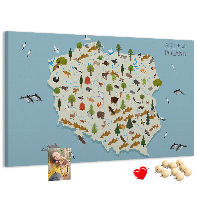 Cork display board Poland Animal Map
