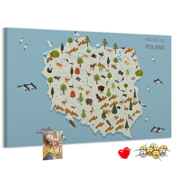 Cork display board Poland Animal Map
