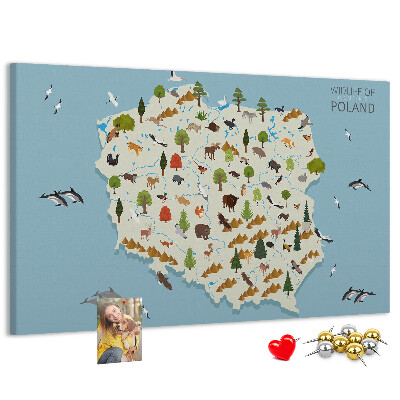 Cork display board Poland Animal Map