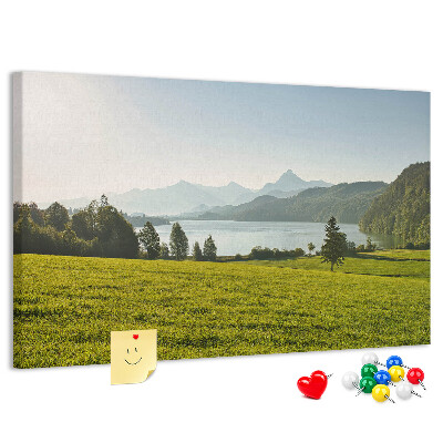 Cork memo board Mountains field