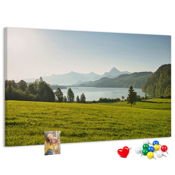 Cork memo board Mountains field