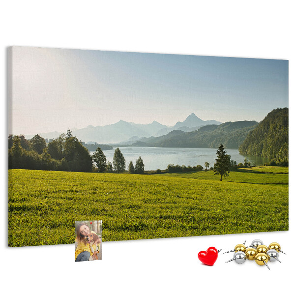 Cork memo board Mountains field