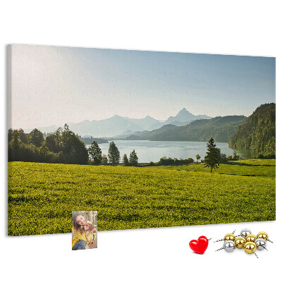 Cork memo board Mountains field