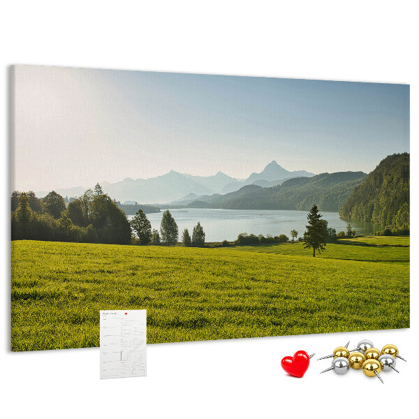 Cork memo board Mountains field