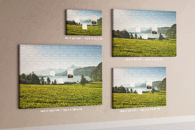 Cork memo board Mountains field