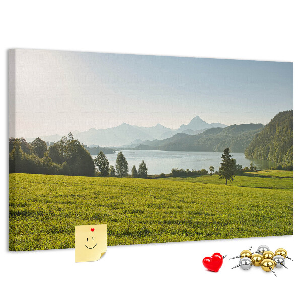 Cork memo board Mountains field