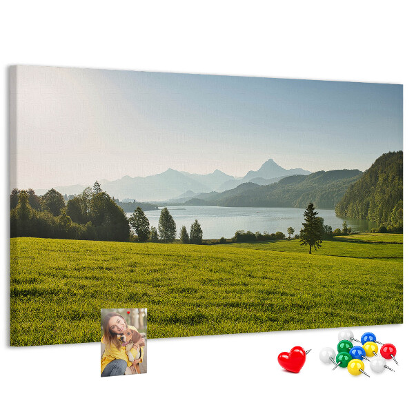 Cork memo board Mountains field