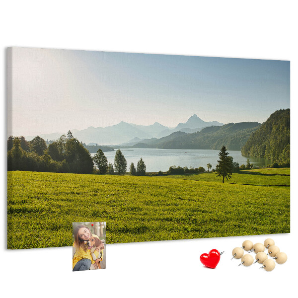 Cork memo board Mountains field