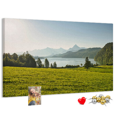Cork memo board Mountains field