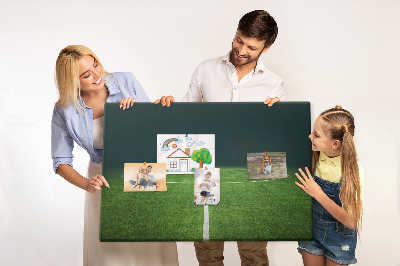Cork memo board Football pitch
