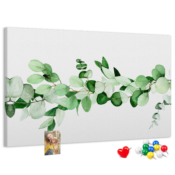 Cork board Plant twig