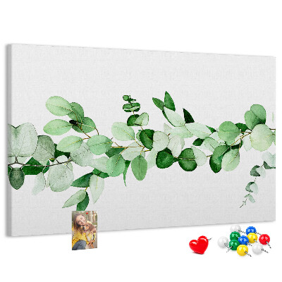 Cork board Plant twig