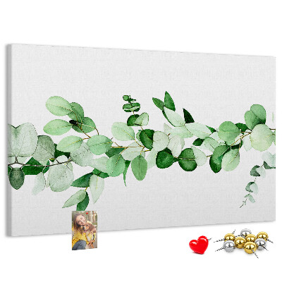 Cork board Plant twig