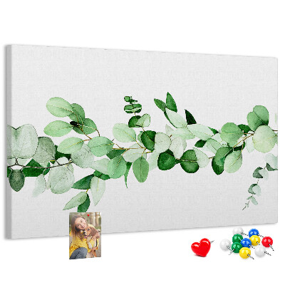Cork board Plant twig