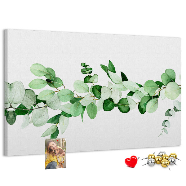 Cork board Plant twig