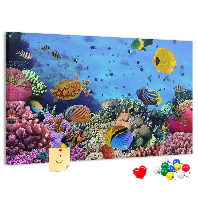 Cork board Underwater life