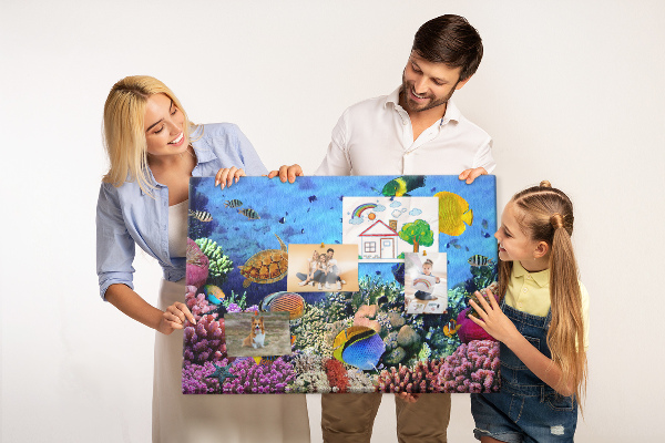 Cork board Underwater life