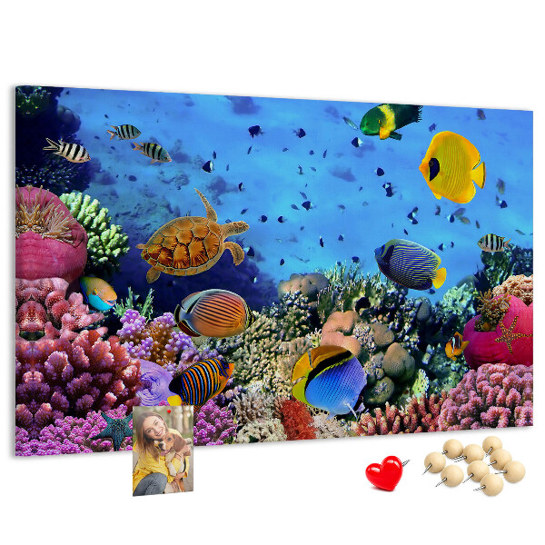 Cork board Underwater life