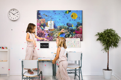 Cork board Underwater life