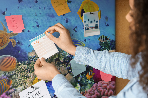 Cork board Underwater life