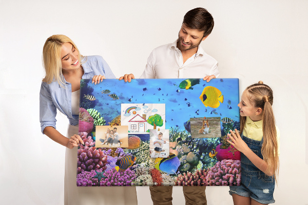 Cork board Underwater life