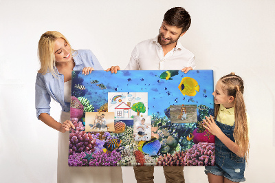 Cork board Underwater life