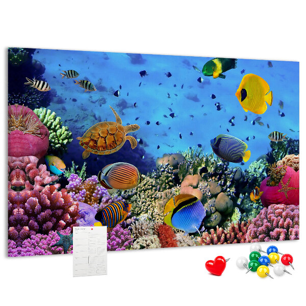 Cork board Underwater life