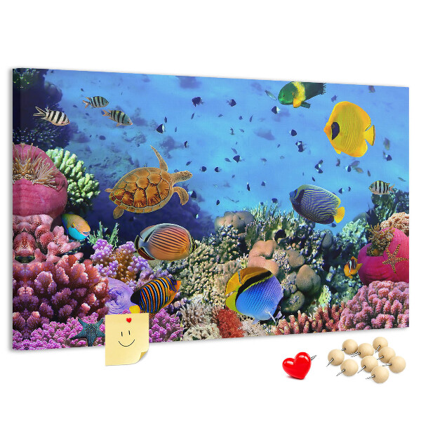 Cork board Underwater life