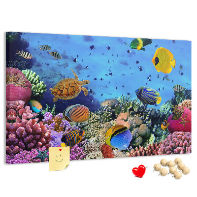 Cork board Underwater life